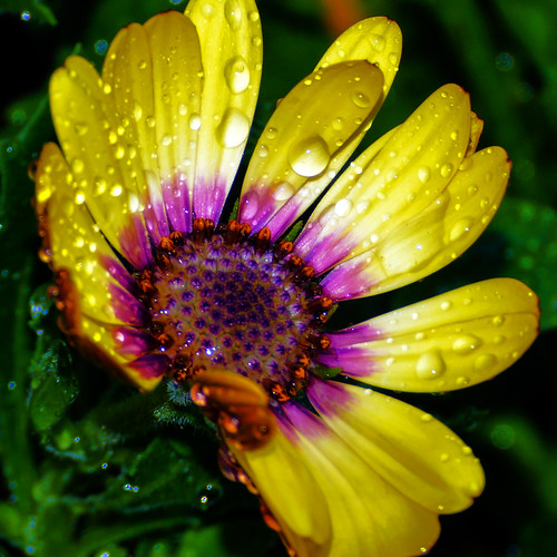 Jon Arrowood Photography Flickr