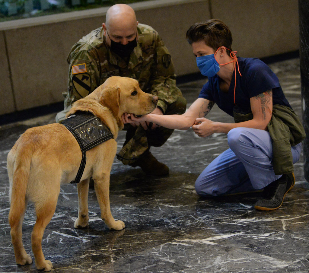 Operation COVID19 Sgt. 1st Class Richard Masci of Lagrang… Flickr