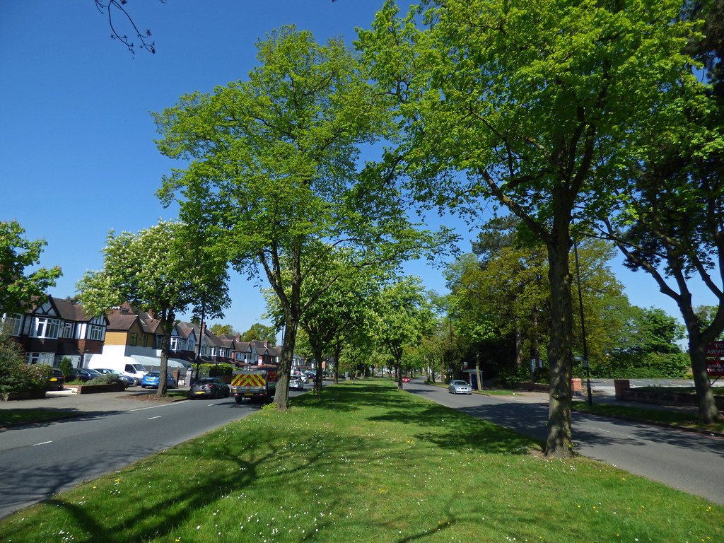 Birmingham the City of Trees on the Stratford Road Dual Ca… Flickr