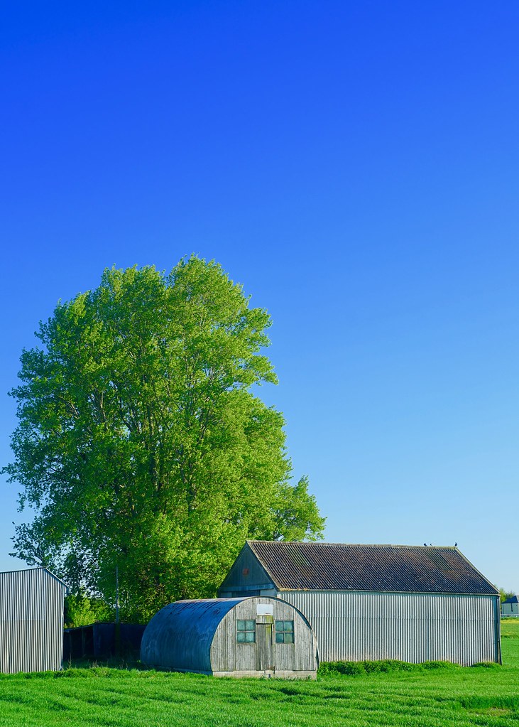 Barroway Drove, Norfolk, UK Sony A7 and my Helios 58mm f2 … Flickr