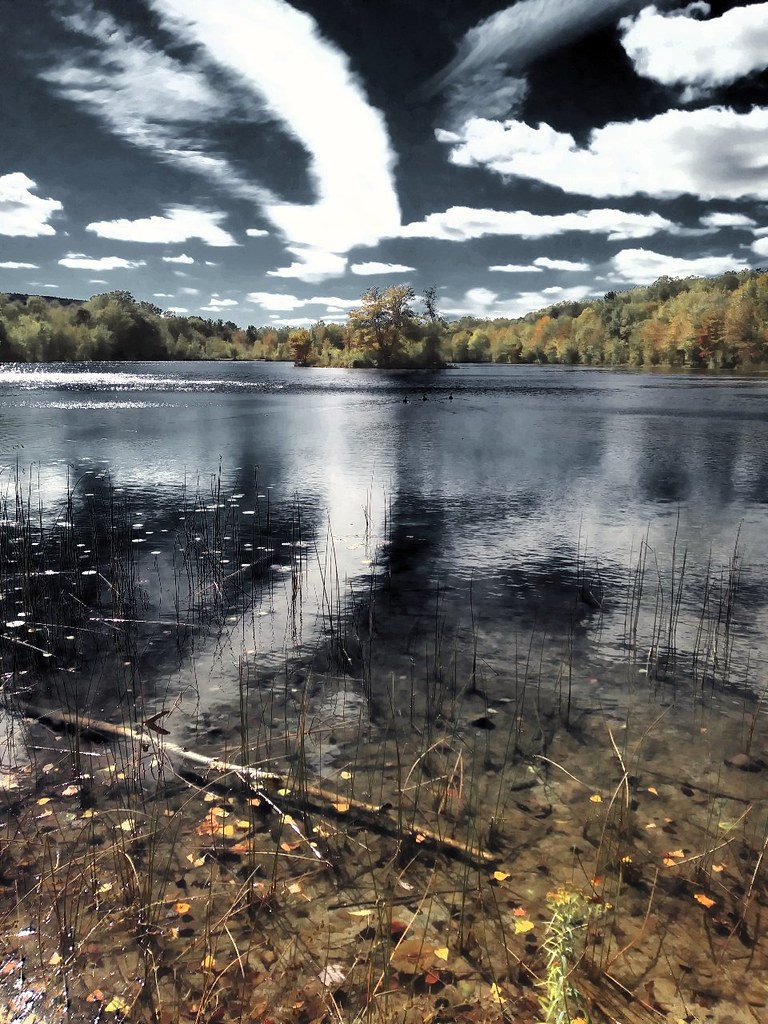 Cloud Trail Lake Frances, Nescopeck State Park, PA Robert Corrado