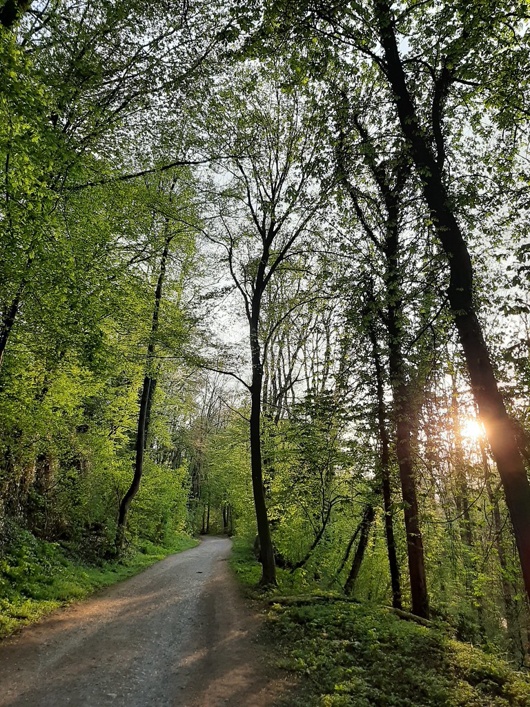 Tour 1080 Erkrath Mit dem A6 ins Tal der Düssel Wanderwegewelt
