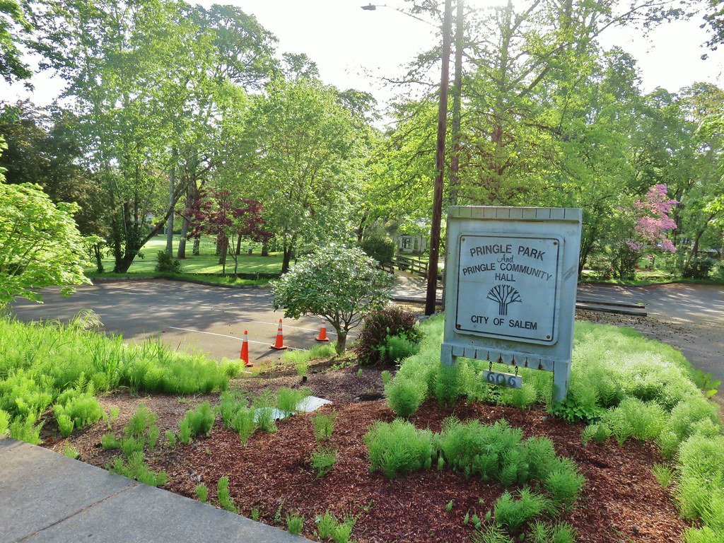 Bush’s Pasture Park wanderingyuncks