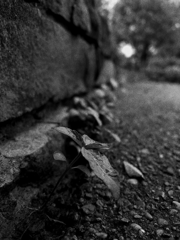 IMG_9636 “You can never have too much sky. You can fall as… Flickr