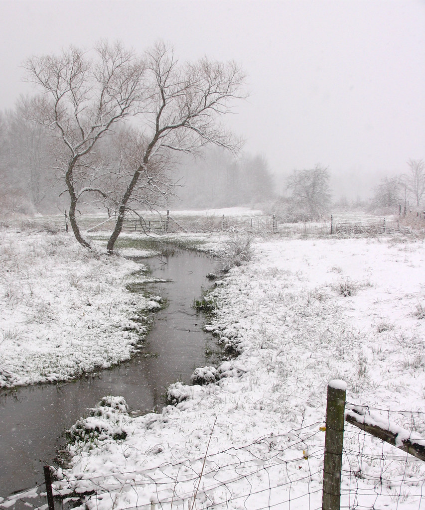 Spring.... er... Winter in Ashtabula County Saybrook Twp O… Flickr