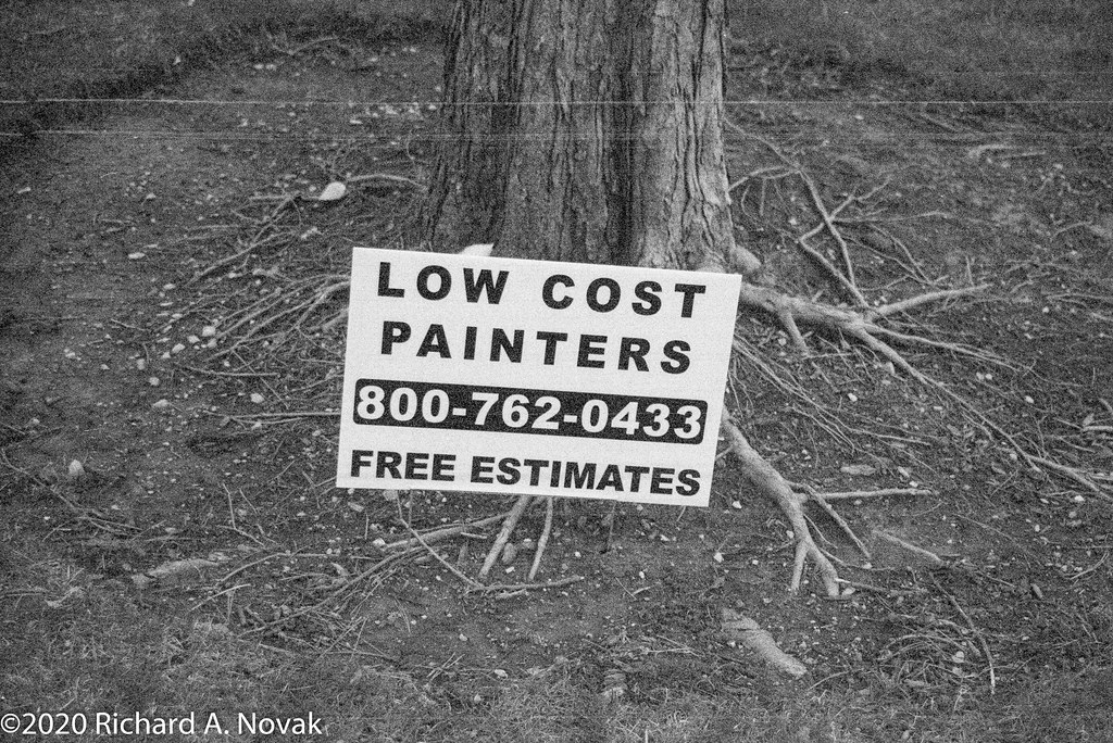 Low cost painters 1/125s at F5.6, P, 70mm, 4/15/20. Richard Novak Flickr