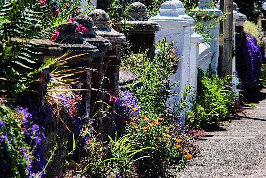 Last years colours in Stonefield Road. Hastings. anthony allan Flickr