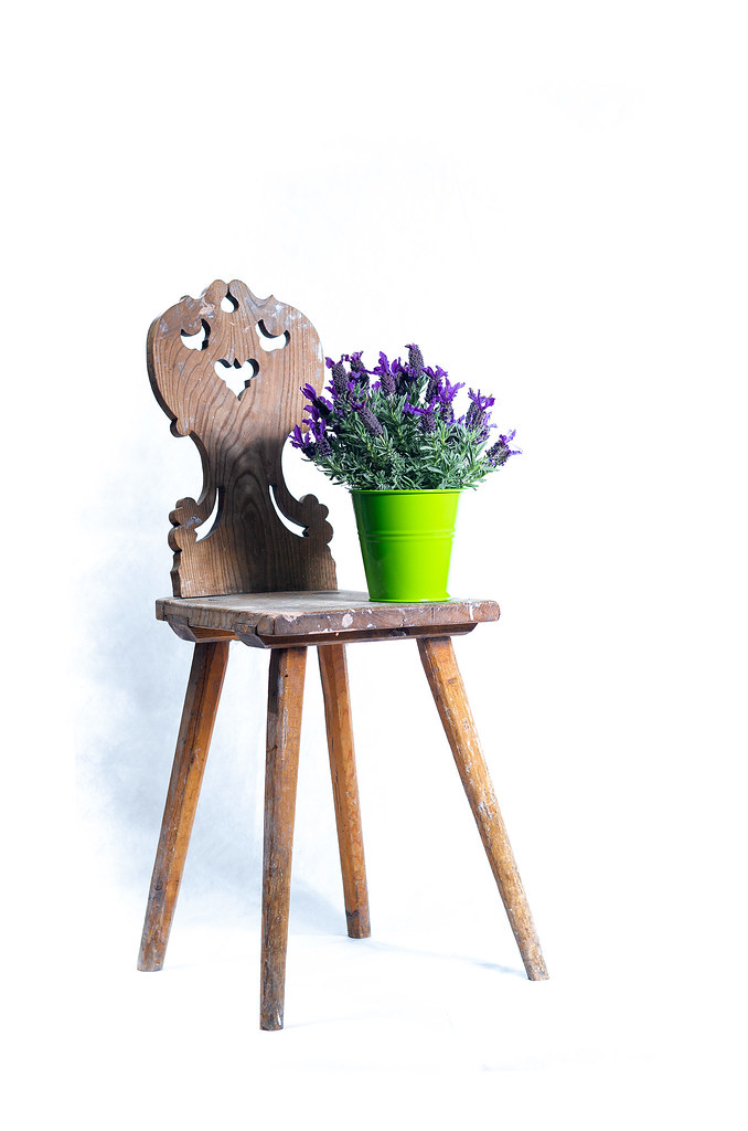 flower on the chair Lukas DeMol zEnda Flickr