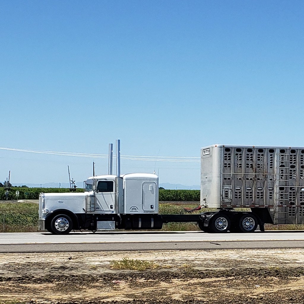 IMG_20200426_114720_376 truckin around Flickr