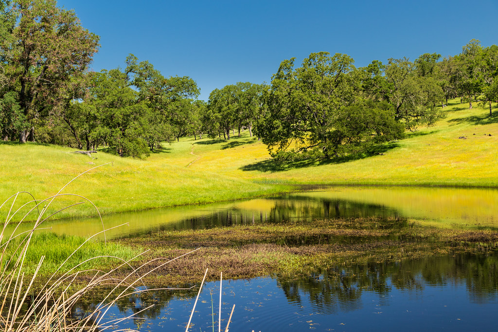 North Pond at Deer Creek Hills Preserve Jenn & Dave Miller Flickr
