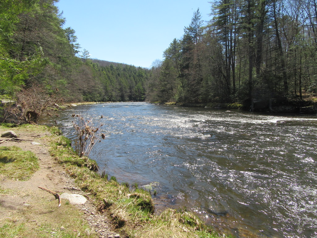 Neversink River near Rock Hill nyclondonguy Flickr