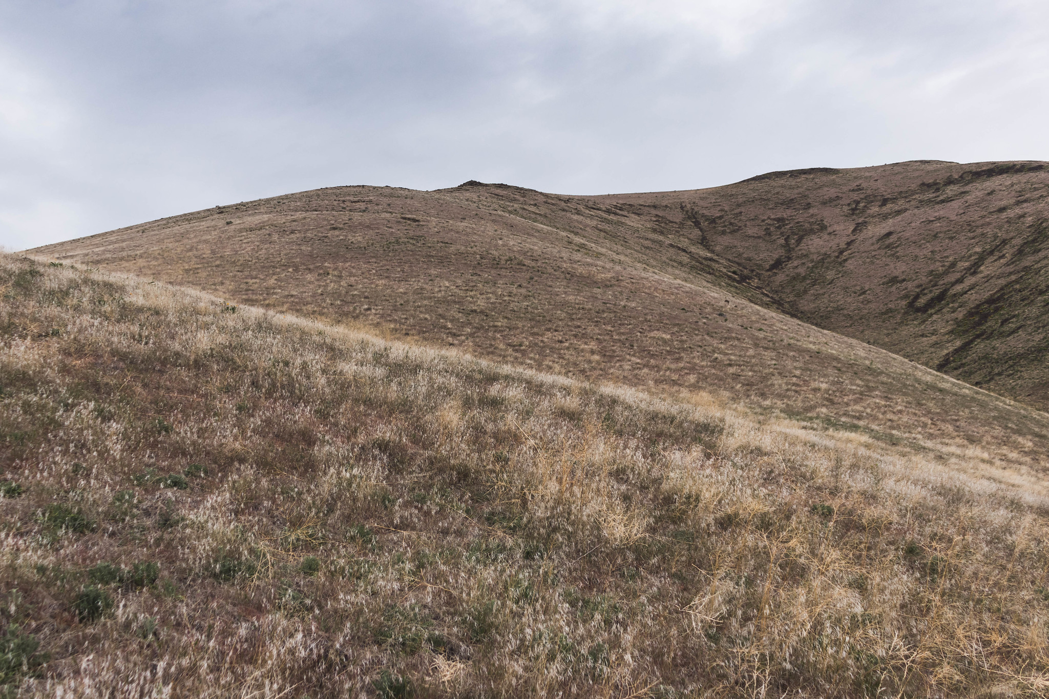 Rattlesnake Dance Ridge + Manastash Ridge West Summit / 響尾蛇舞脊