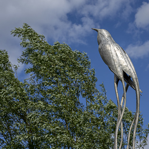 Iron bird . Ruud Bergman Flickr