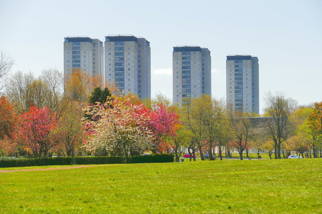 lincoln avenue flats Tom Donald Flickr