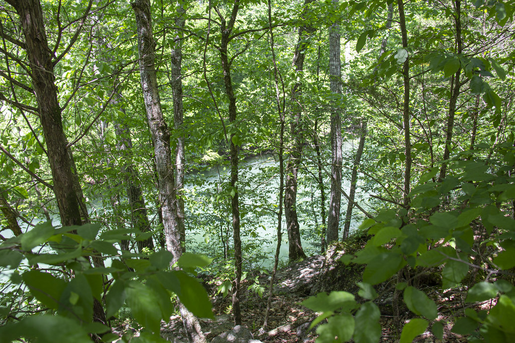 Greenway Farm Quarry Trail36 Rebecca Flickr