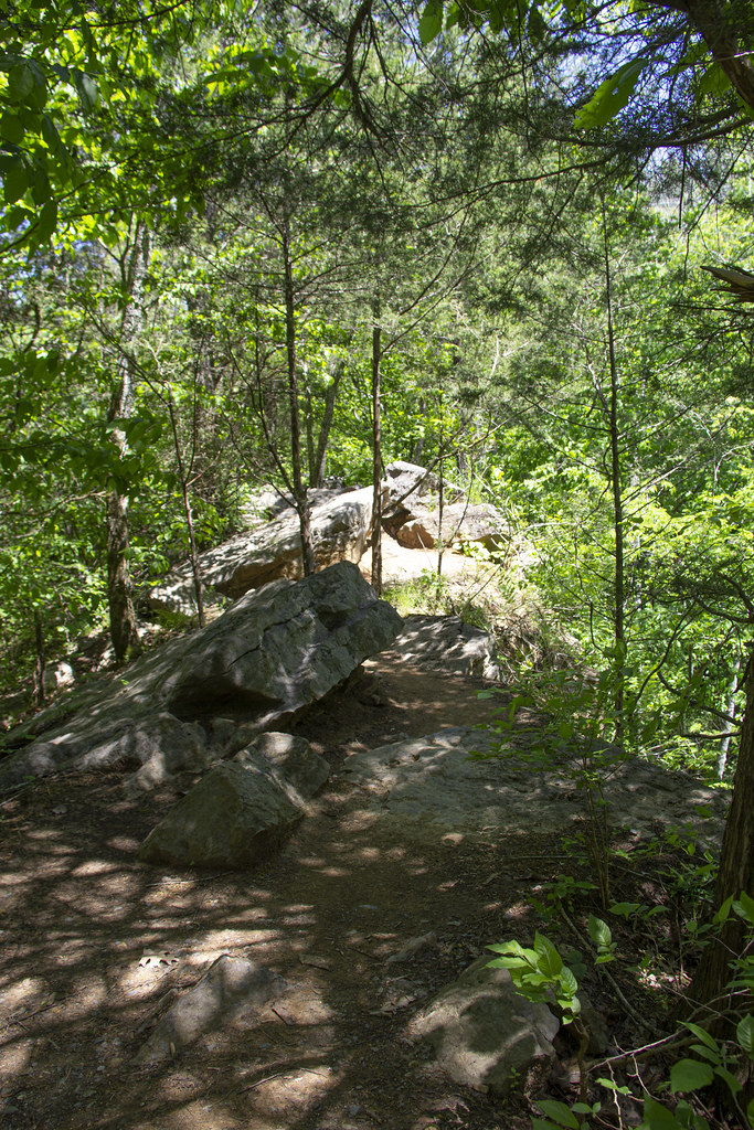 Greenway Farm Quarry Trail35 Rebecca Flickr