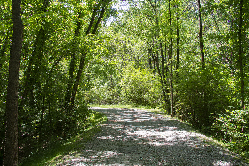 Greenway Farm Quarry Trail3 Rebecca Flickr