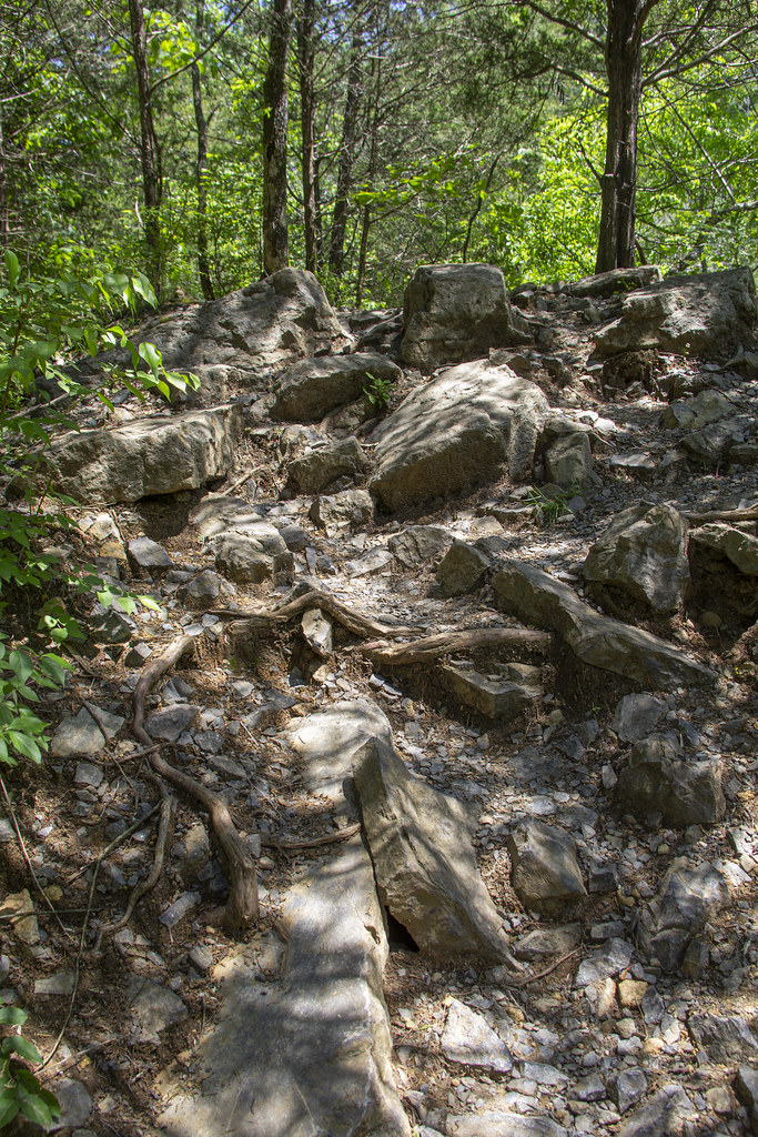 Greenway Farm Quarry Trail34 Rebecca Flickr