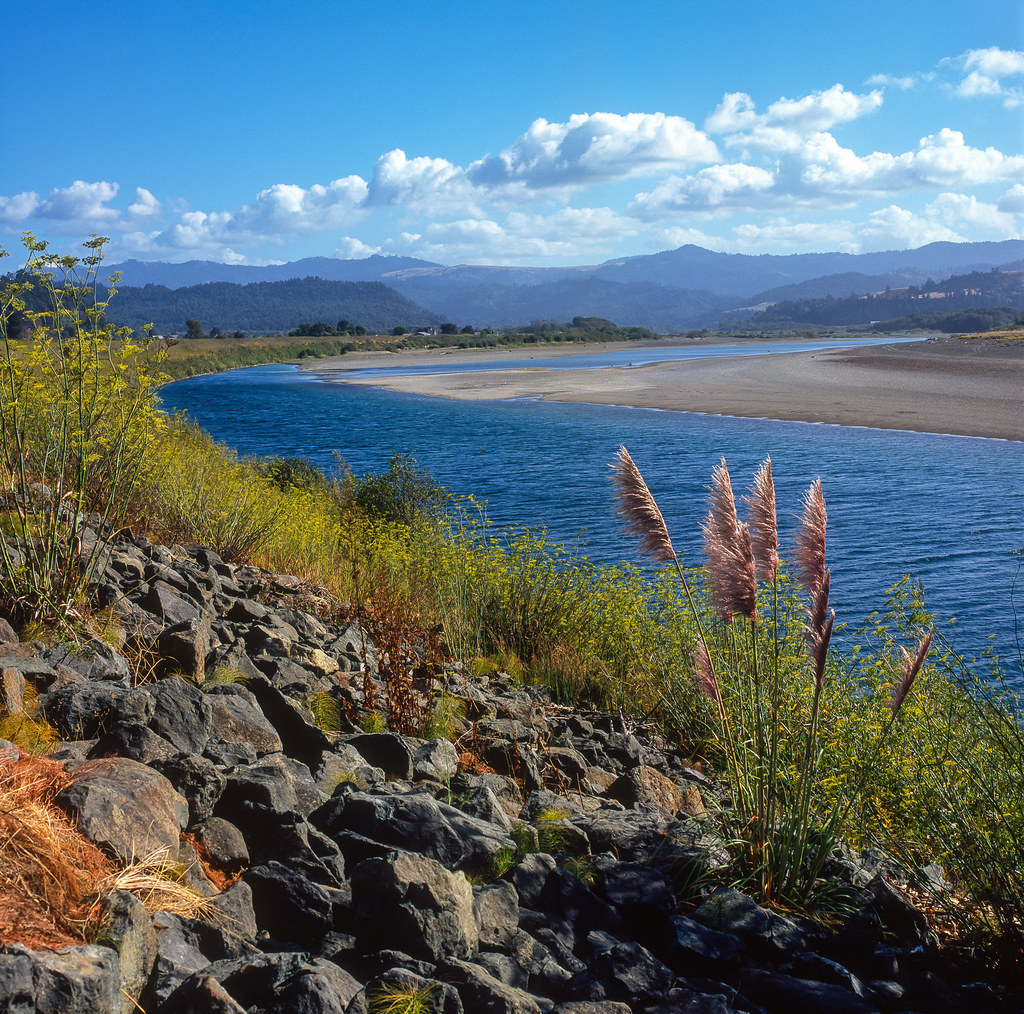Grasses on the Eel River, Fortuna, California USA Imaged o… Flickr