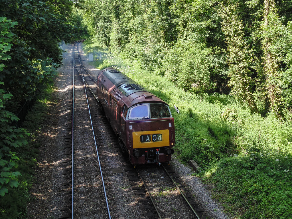 D1010 'Western Campaigner', Lydeard Arriving Somewhere