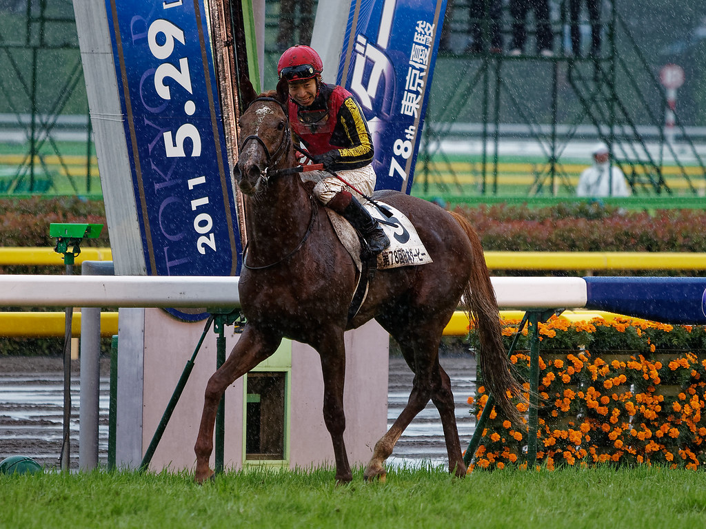 20110529 東京11R 東京優駿(日本ダービー) 05オルフェーヴル＆池添謙一／泥だらけ、でも笑顔 Flickr