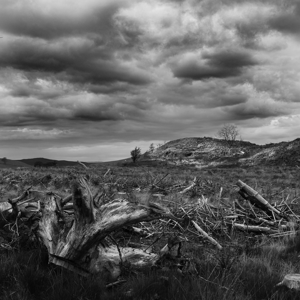 Bleak View Simon Evans Flickr