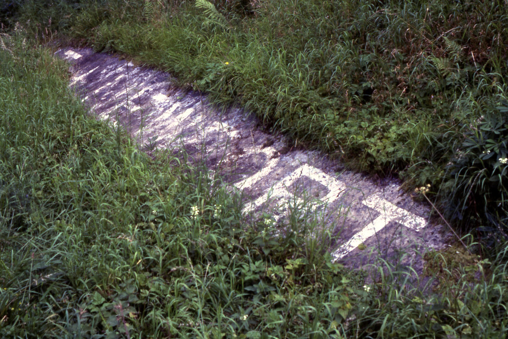 NewportonTay West, 1985 NewportonTay West station was … Flickr