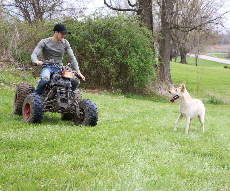 quad and dog Flickr