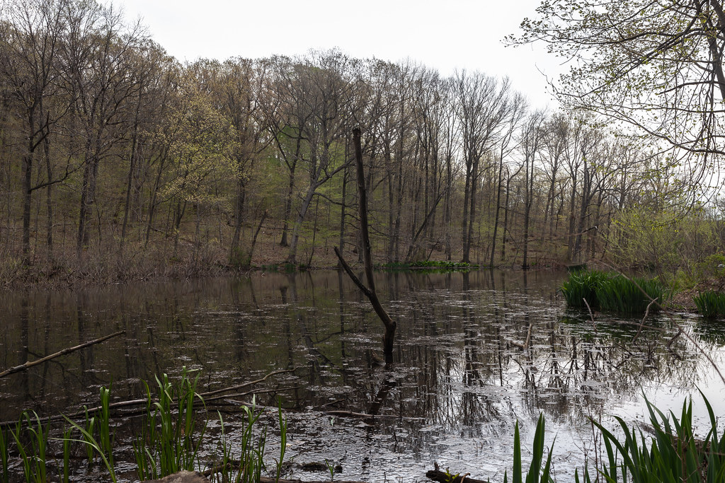 Hiking Seeley's Pond A short loop hike around Seeley's Pon… Flickr