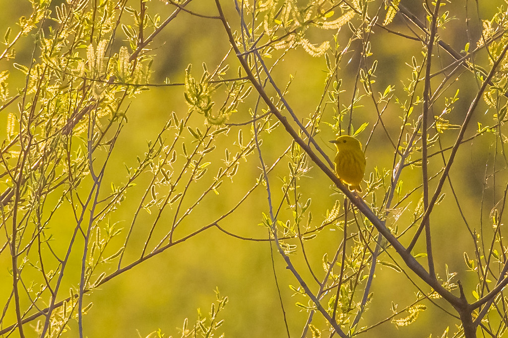 Ball Park Rd, Eagle Rock, VA, USA Sunrise Sunset Times