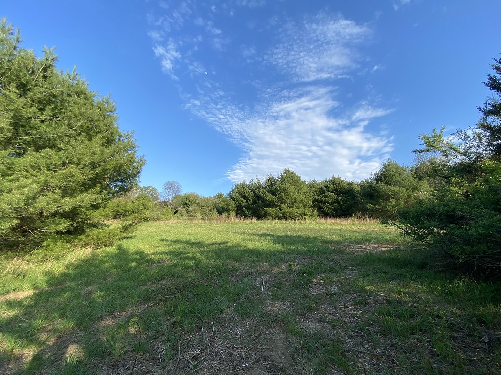 Leaser Lake Park Seen at Leaser Lake Park, just a little w… Flickr