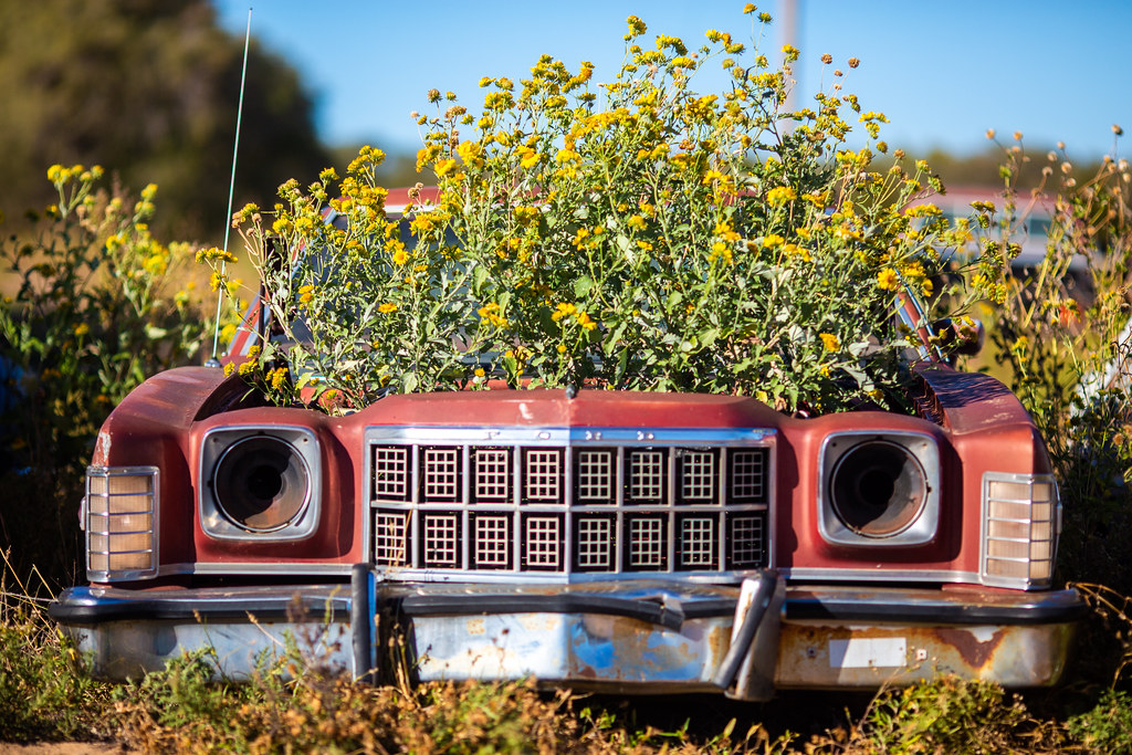 Fortunate One Thomas Hawk Flickr