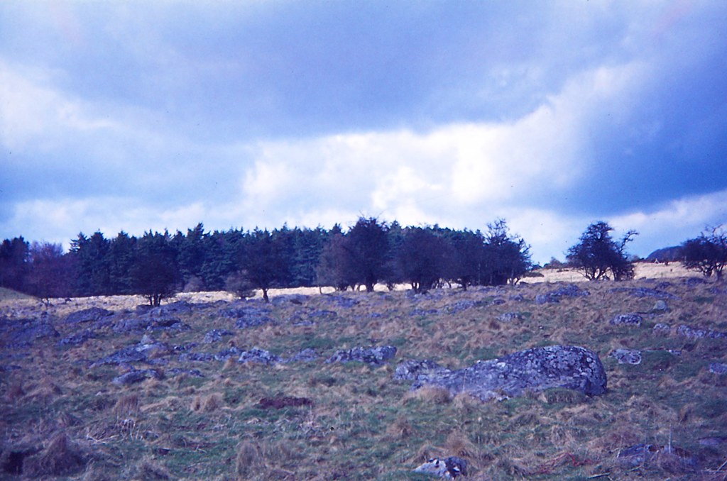 Fyfield Downs, Near Marlborough, 1972 Sarsen Valley. The d… Flickr
