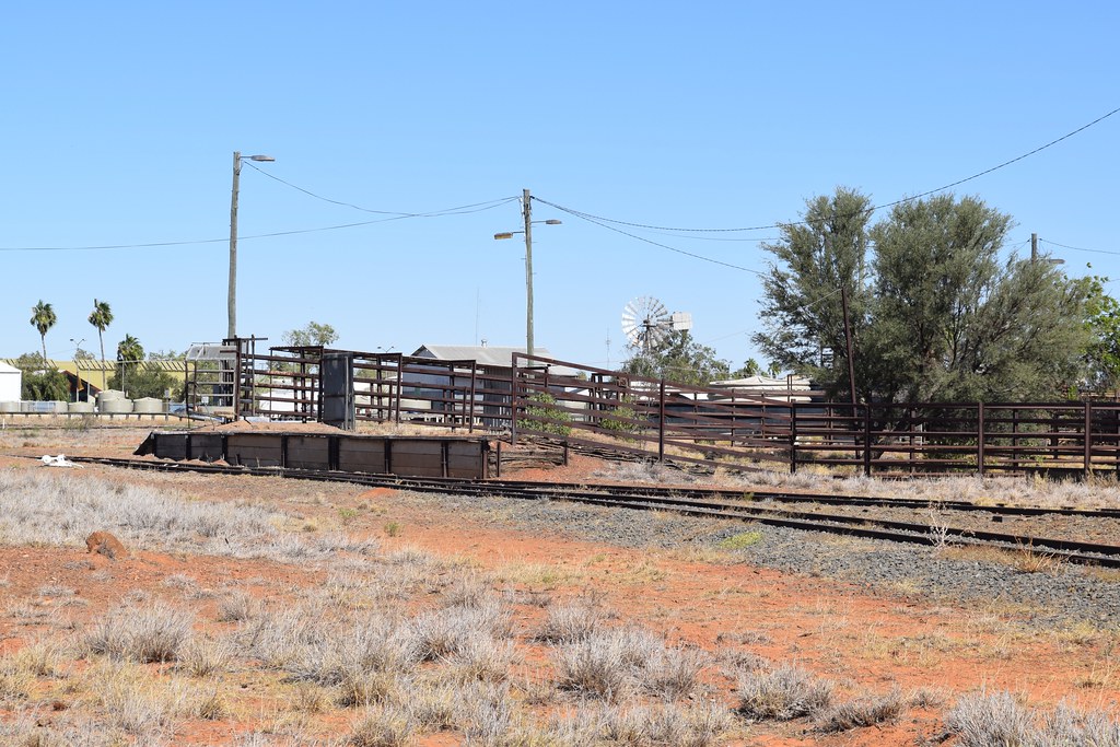 Qld Quilpie04 5/2018 Norm Bray Flickr