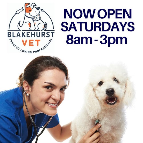 Vet Near Me We are here for you 83pm on Saturdays.Visit u… Flickr