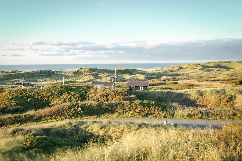 The ultimate guide to shelters and wild camping in Denmark