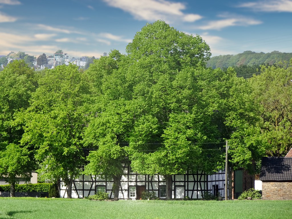 take me home Peter Schüler Flickr