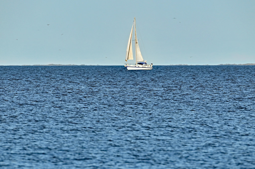 Sailing, sailing.... Oriental, North Carolina, May 6, 2020… Flickr