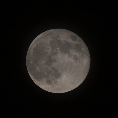 Flower moon Apparantly tonight, 7 May 2020, is the Full Fl… Flickr