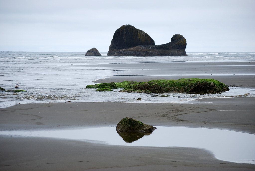 Copalis Rock Beach Mark Knoke Flickr