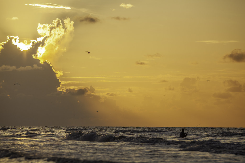 17 S Avenue D, Freeport, TX アメリカ合衆国日の出日の入り時間
