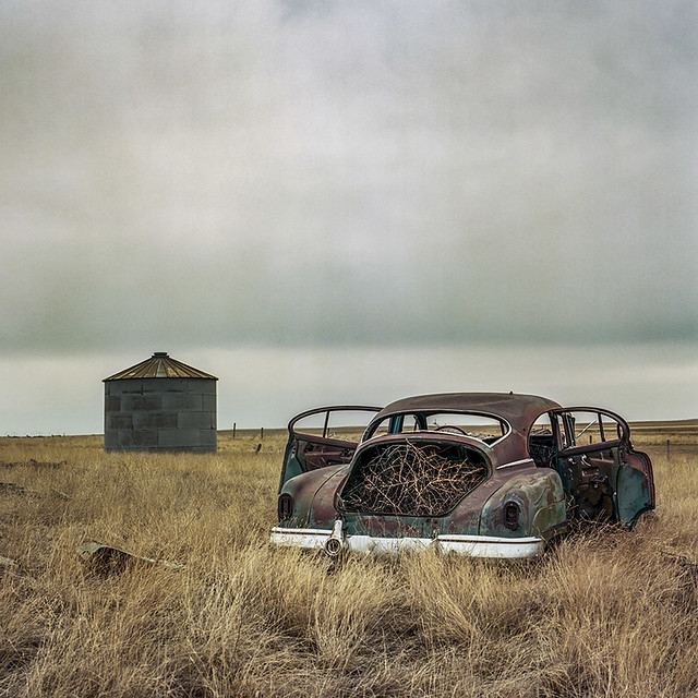 Flickriver Most interesting photos from pool