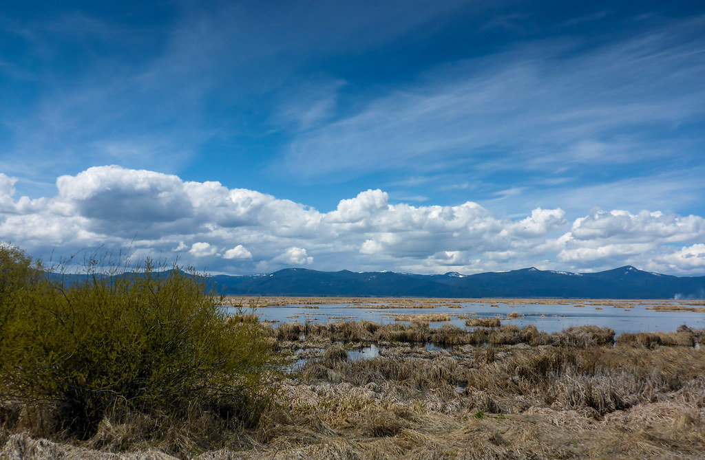 Wood River Wetland, Chiloquin, Oregon Michael (a.k.a. moik