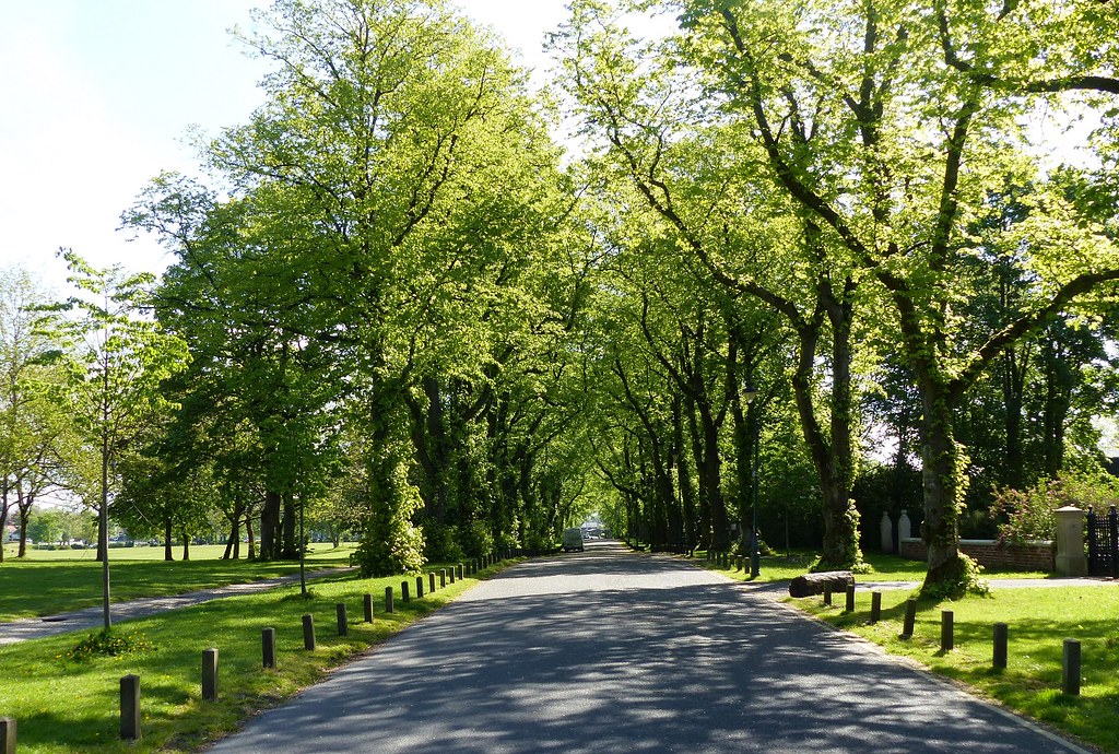 Moor Park Avenue A typical scene on Moor Park, Preston dur… Flickr