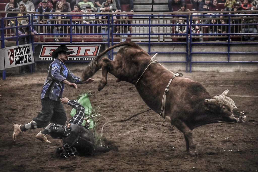 PBR BULL BASH Jennifer Jones Flickr