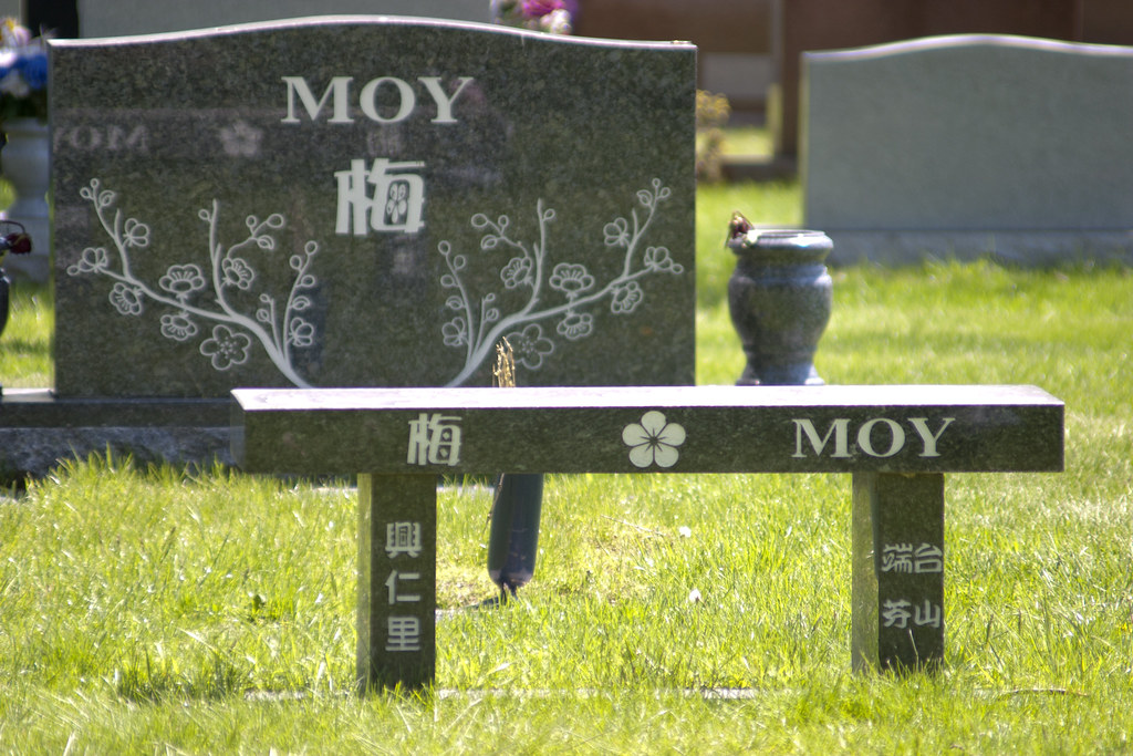 Moy (0579) Mt. Auburn cemetery, Stickney, Illinois John Dunlevy