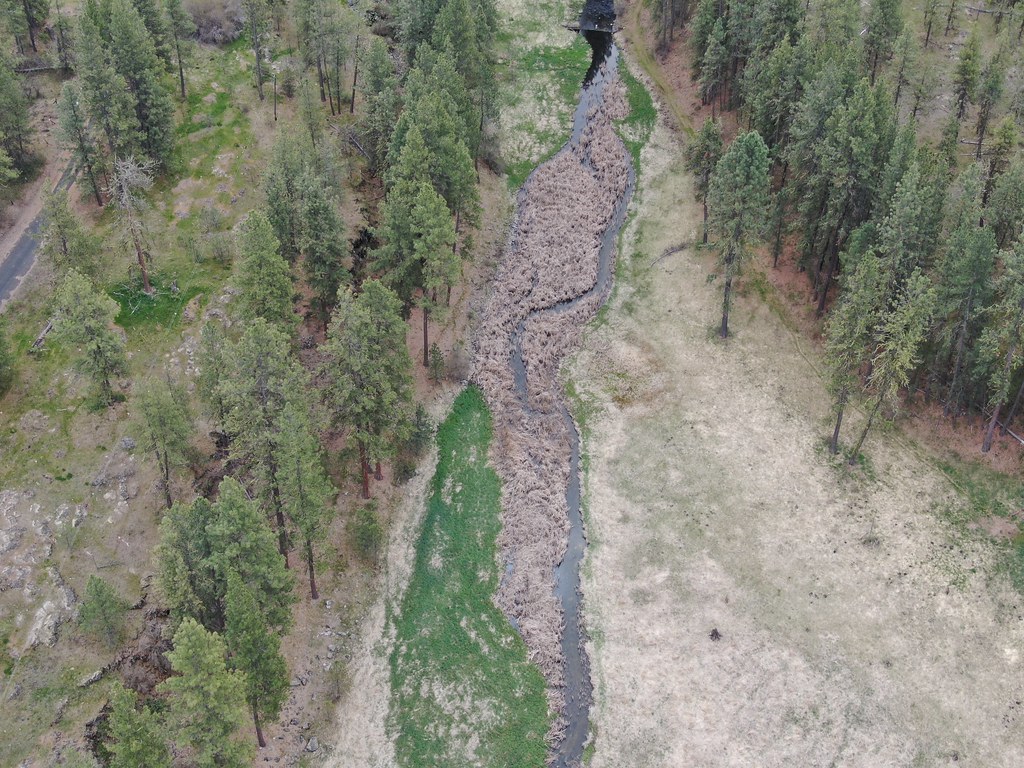Picture from Chapman Lake, Washington default Dobbs77 Flickr