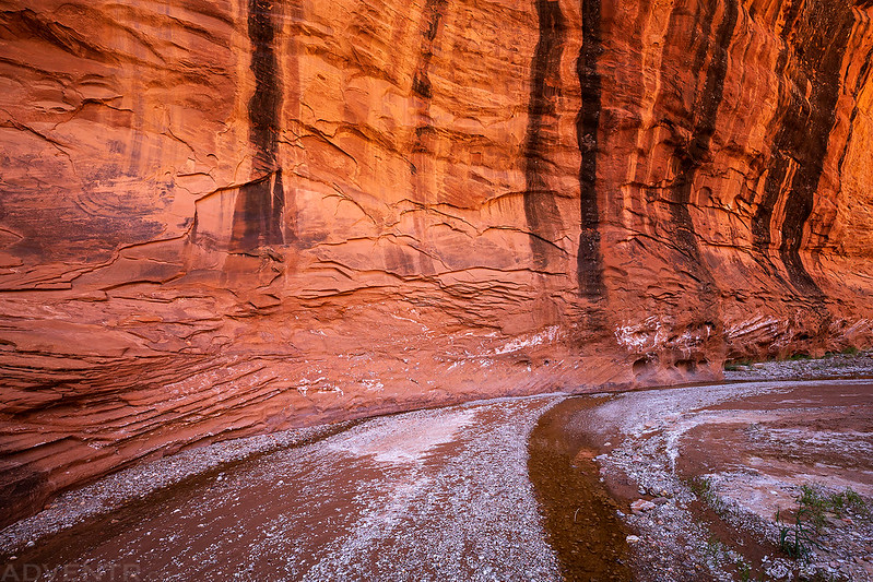 Canyons of the Escalante Silver Falls Creek // ADVENTR.co