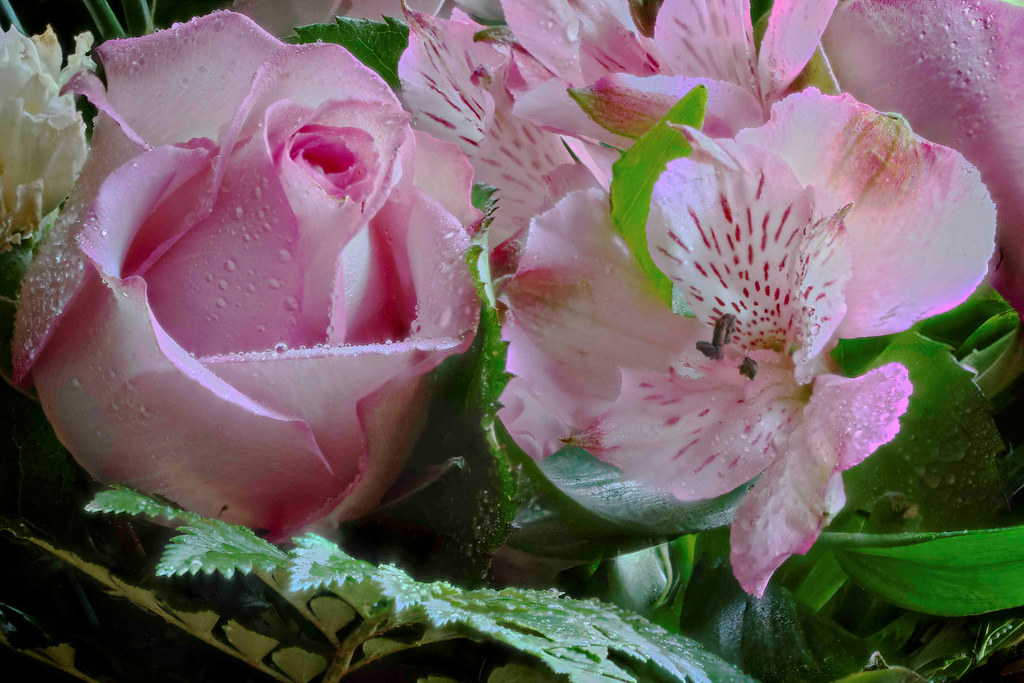 Flowers F_01_May 08, 2020 M Gleason Flickr