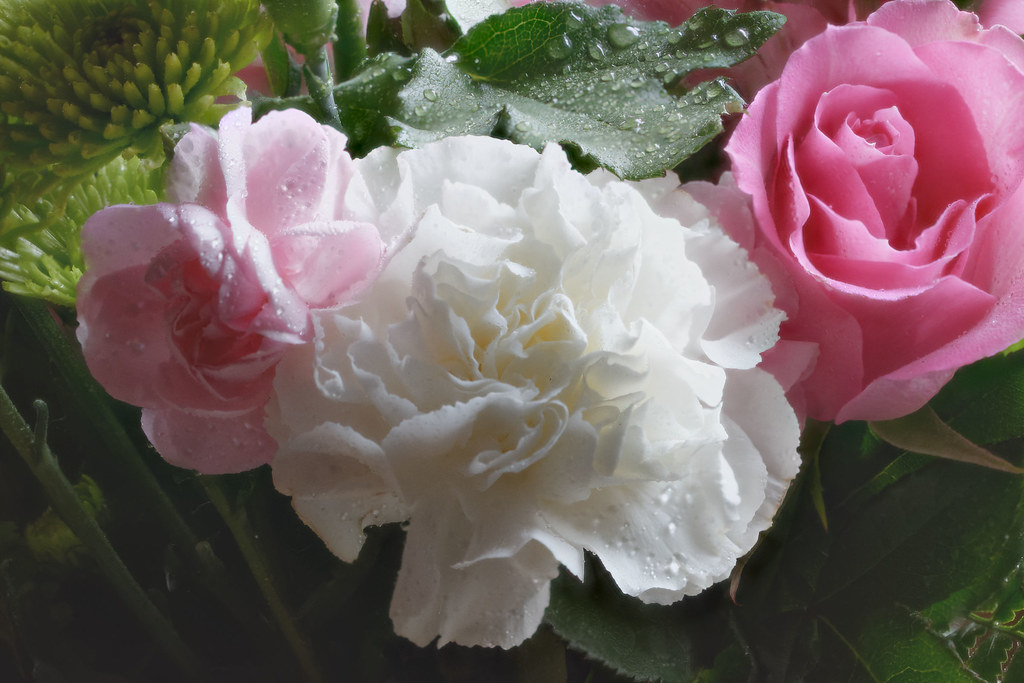 Flowers D_01_May 08, 2020 M Gleason Flickr